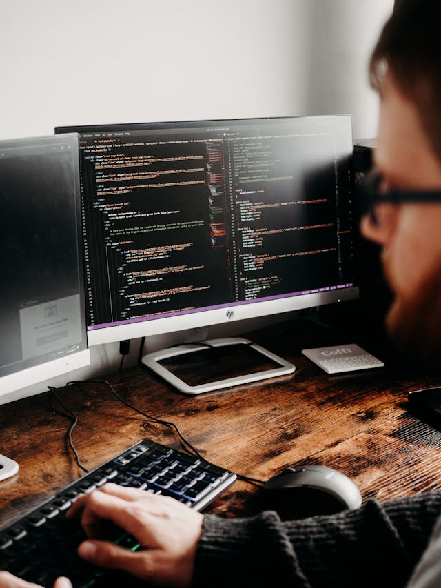 Software developer